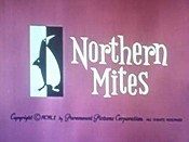 Northern Mites Cartoons Picture